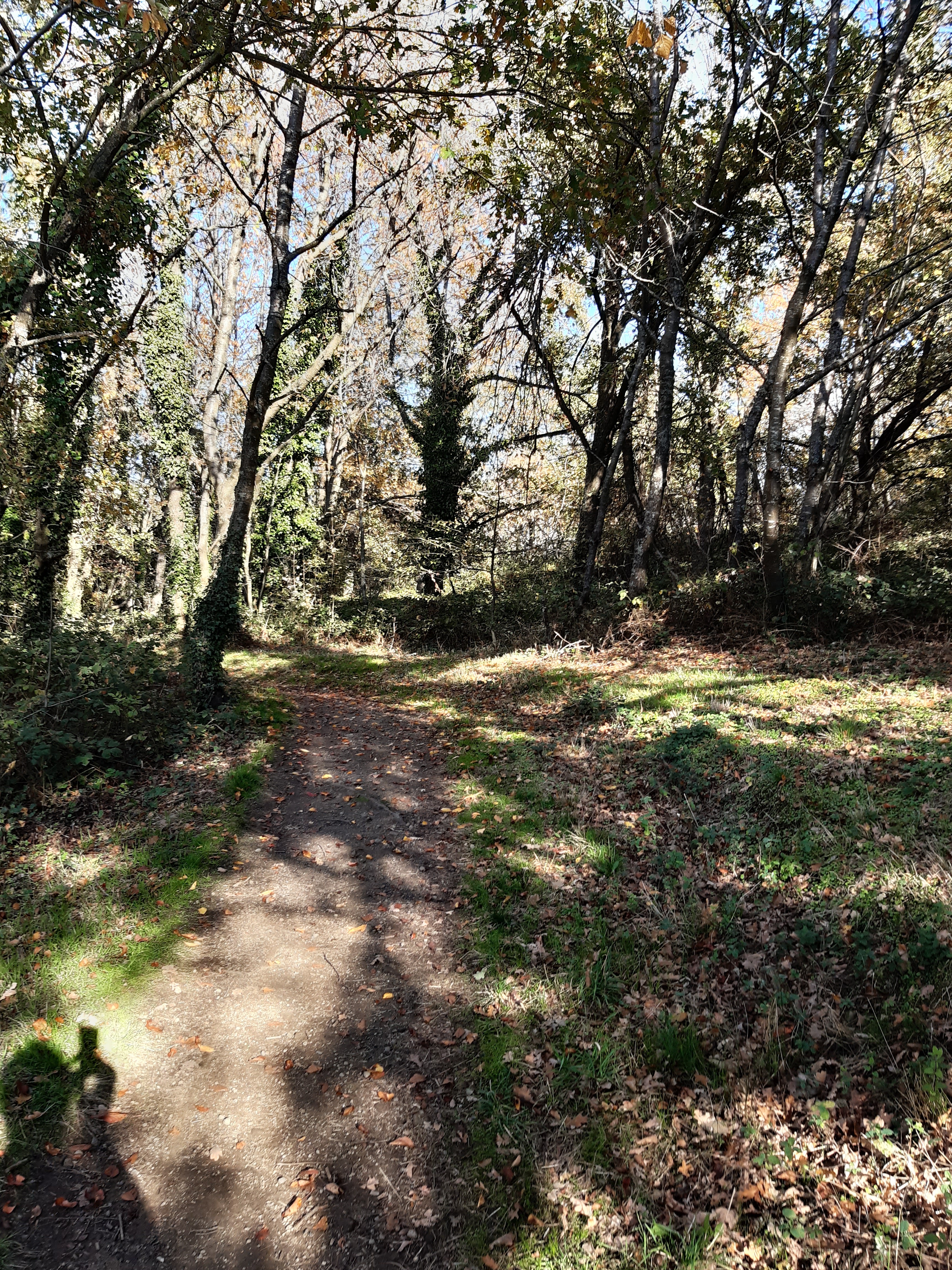 Photo n° 1 de l'avis de Éric.a fait le 31/10/2020 à 13:36