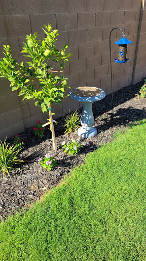 Hardware Store «Ace Hardware», reviews and photos, 21542 N John Wayne Pkwy, Maricopa, AZ 85139, USA