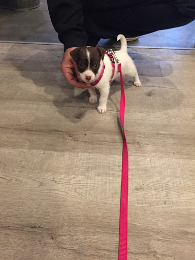 Pet Supply Store «Wally Pets», reviews and photos, 4411 Wallingford Ave N, Seattle, WA 98103, USA