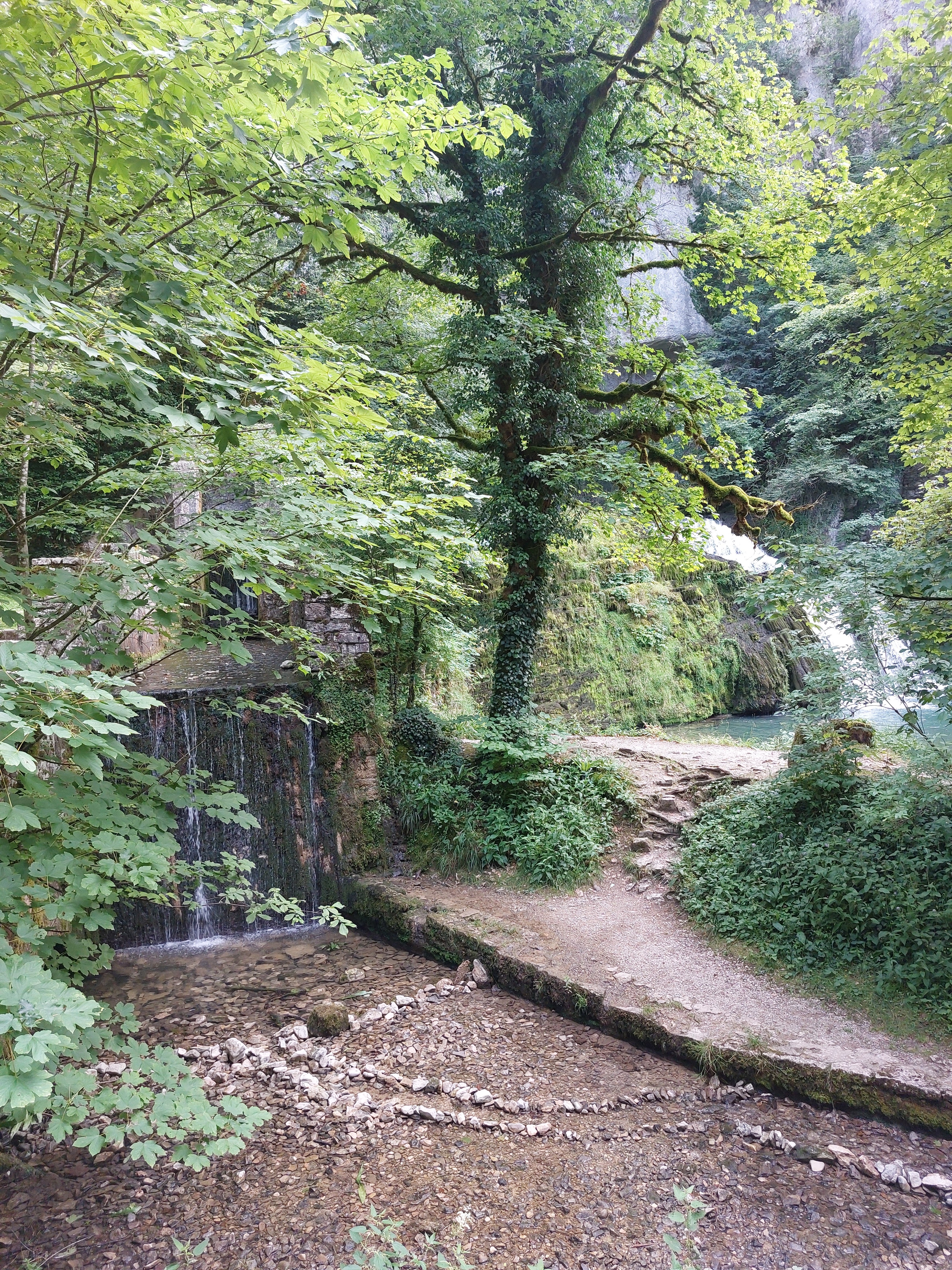 Photo n° 3 de l'avis de Rejosyl. fait le 18/07/2023 à 20:20