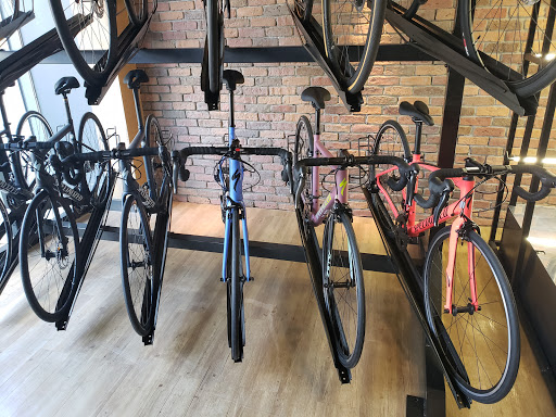 Renato Estrella bicycles - Specialized Concept Store