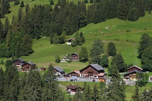 site_photo1