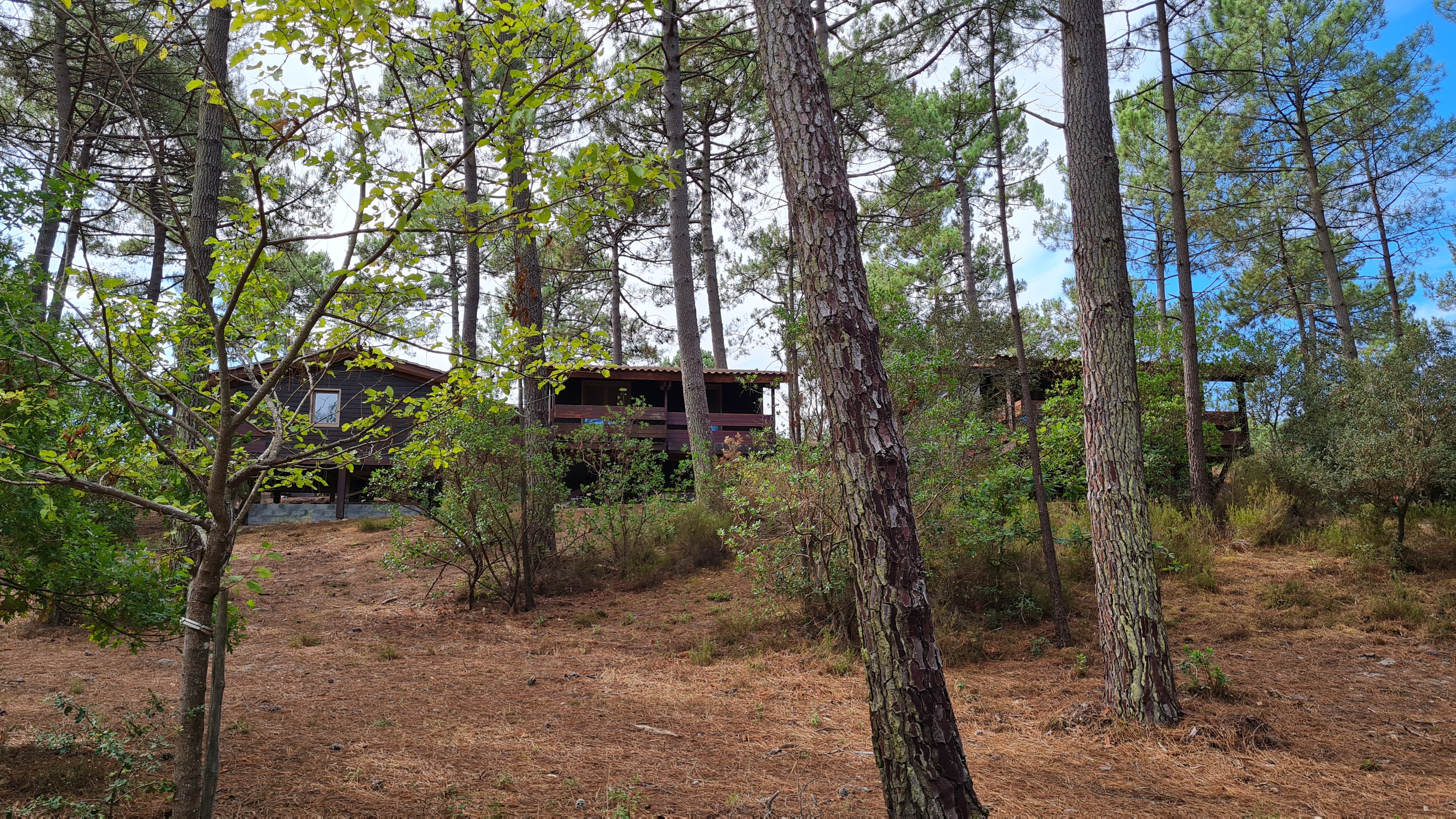 Photo n° 1 de l'avis de Esmeralda.0 fait le 28/08/2022 à 11:53