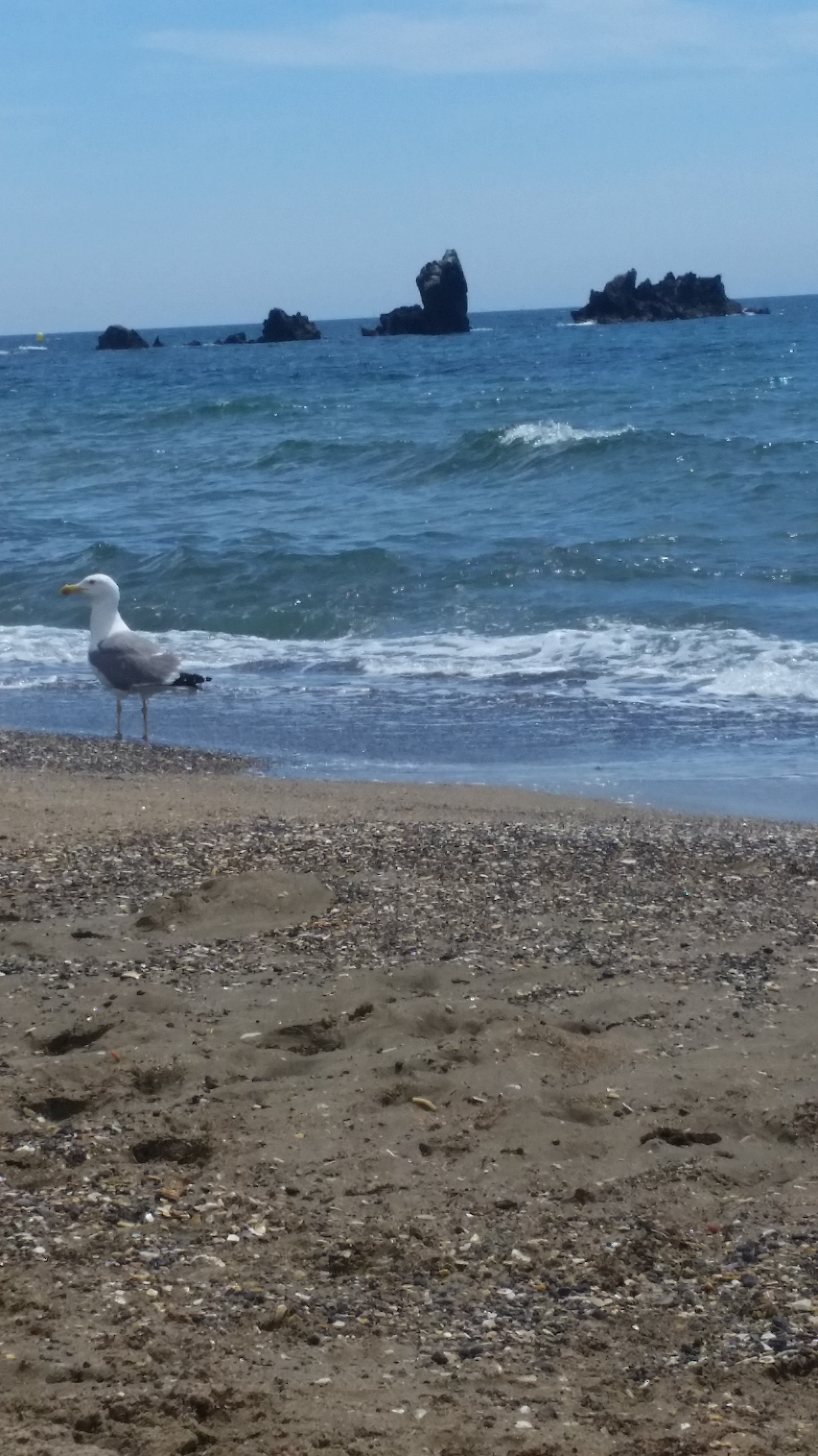 Photo n° 1 de l'avis de maman. fait le 23/06/2019 à 16:39