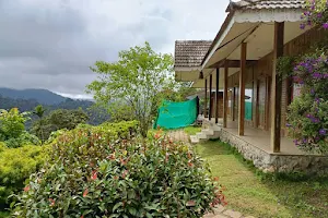 Dream Coconut Villa Resort image