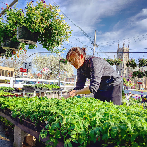 Florist «Blooming Mad Inc», reviews and photos, 1745 Broad St, Cranston, RI 02905, USA