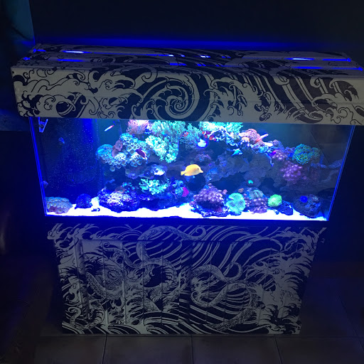 Tattoo Shop «Double Edge Tattoo Parlor», reviews and photos, 5389 S Kirkman Rd, Orlando, FL 32819, USA