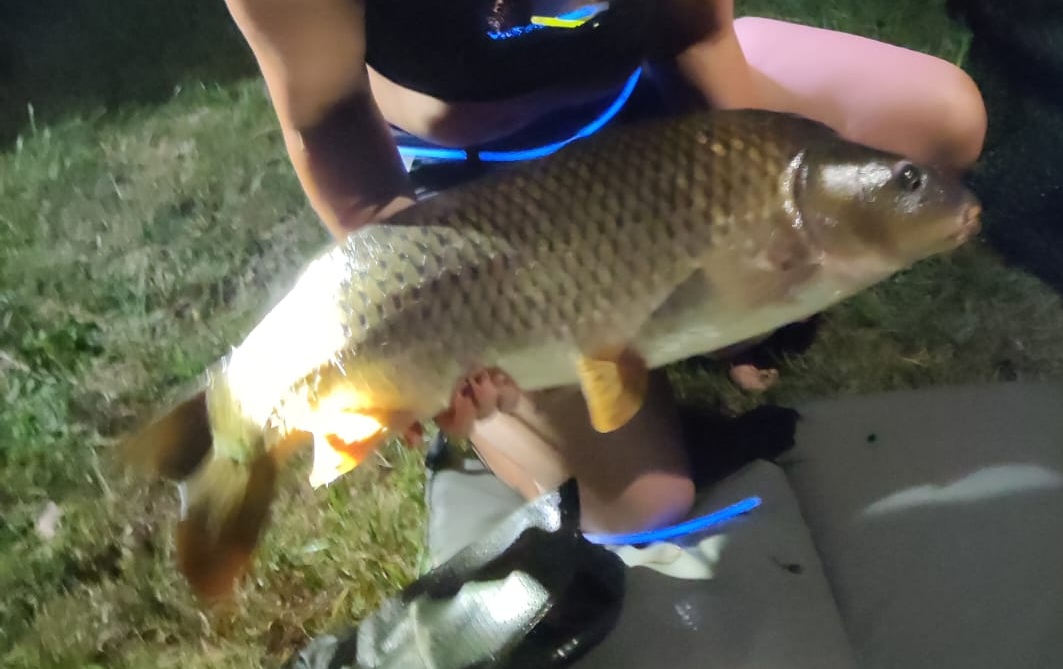 Photo n° 2 de l'avis de Marie.A fait le 12/06/2022 à 15:20