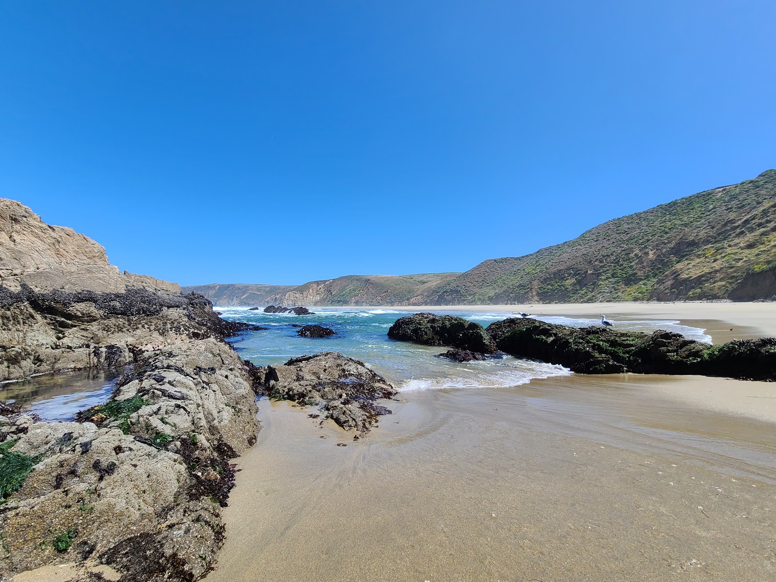 Foto von McClures Beach mit geräumige bucht