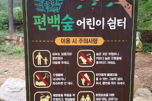 Pyeonbaek Forest image