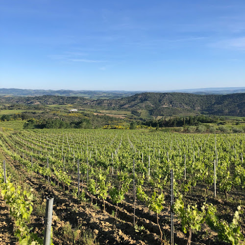 Domaine Bernatas à La Digne-d'Amont