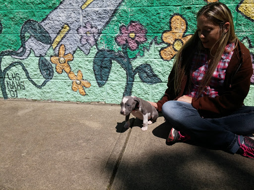 Golf Club «Harmon Golf Club», reviews and photos, 314 S East St, Lebanon, OH 45036, USA