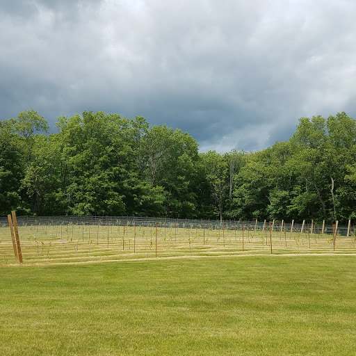 Winery «Sweet Baby Vineyard», reviews and photos, 260 Stage Rd, Hampstead, NH 03841, USA