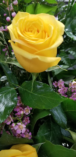 Florist «A Touch Of Elegance Florist», reviews and photos, 12123 Shelbyville Rd, Louisville, KY 40243, USA