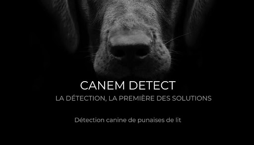 CANEM DETECT LYON & GRENOBLE - Détection Canine de Punaises de Lit