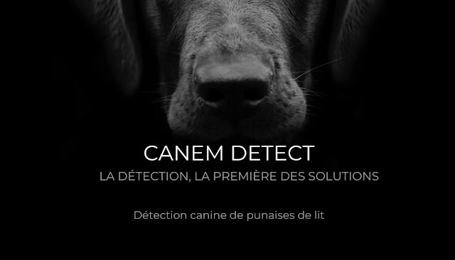 CANEM DETECT LYON & GRENOBLE - Détection Canine de Punaises de Lit
