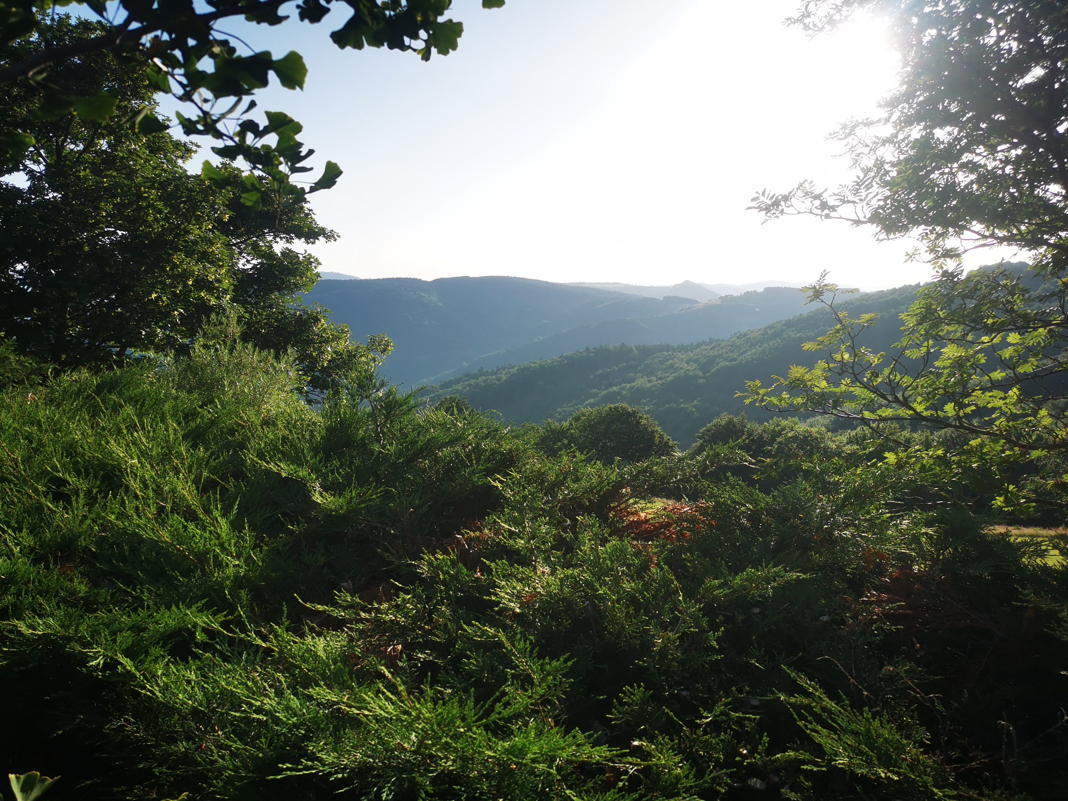 Photo n° 36 de l'avis de Seb. fait le 14/07/2023 à 04:55