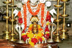 Shri Nageshi Temple image