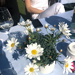 Photo n°2 de l'avis de Giusi.e fait le 30/03/2019 à 16:09 sur le  Me Beach - Taormina 1981 à Marina di Ravenna