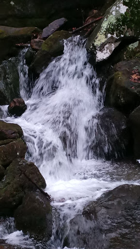 State Park «Swatara State Park», reviews and photos, 1450 Suedberg Rd, Pine Grove, PA 17963, USA