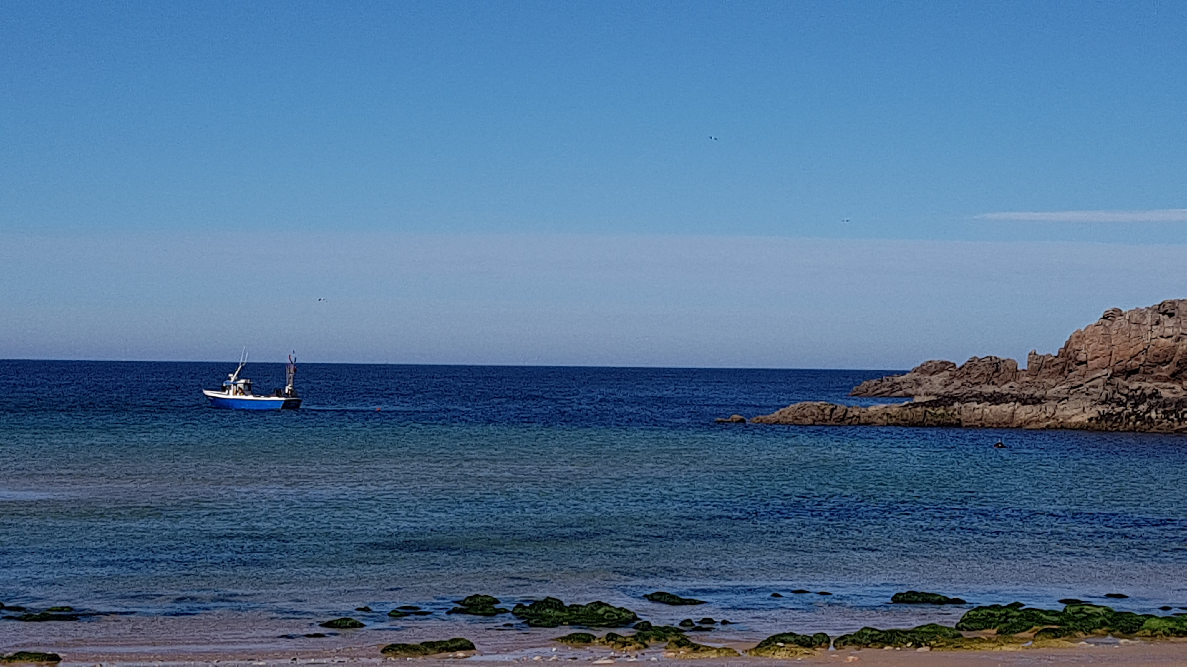 Photo n° 3 de l'avis de Cyber.n fait le 11/07/2018 à 19:15