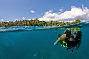 Fly & Sea Dive Adventures image