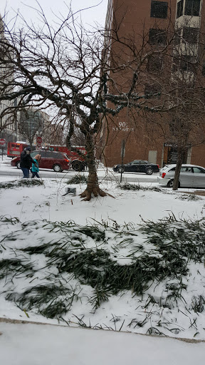 Computer Repair Service «Expertise Computers», reviews and photos, 850 N Randolph St #122, Arlington, VA 22203, USA