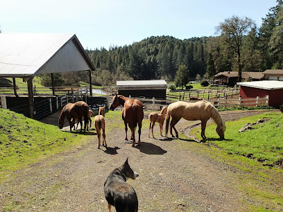 R Horse Ranch