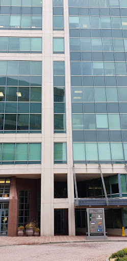 Gift Shop «Edible Arrangements», reviews and photos, 95 Barnes Rd, Wallingford, CT 06492, USA