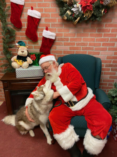 Pet Supply Store «PetSmart», reviews and photos, 2347 N Telegraph Rd, Monroe, MI 48162, USA