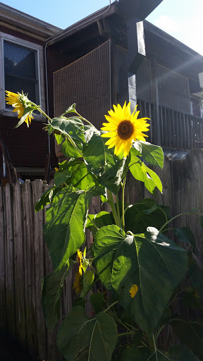 Outdoor Sports Store «Old Souls», reviews and photos, 63 Main St, Cold Spring, NY 10516, USA