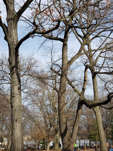 Park «Forest Park Carousel», reviews and photos, Forest Park Dr, Woodhaven, NY 11421, USA