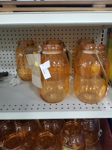 Home Improvement Store «Tractor Supply Co.», reviews and photos, 8447 FL-54, New Port Richey, FL 34655, USA