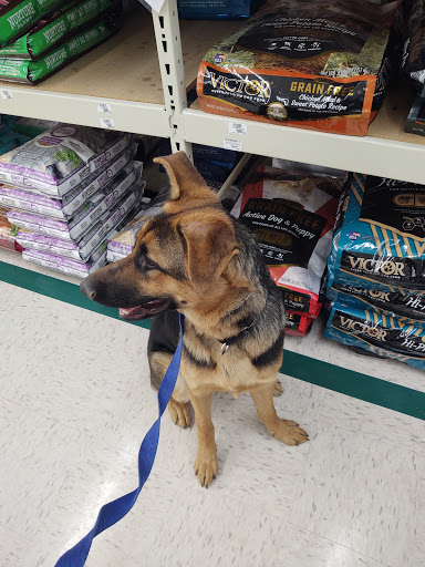 Farm Equipment Supplier «Family Farm & Home», reviews and photos, 66875 Gratiot Ave, Richmond, MI 48062, USA