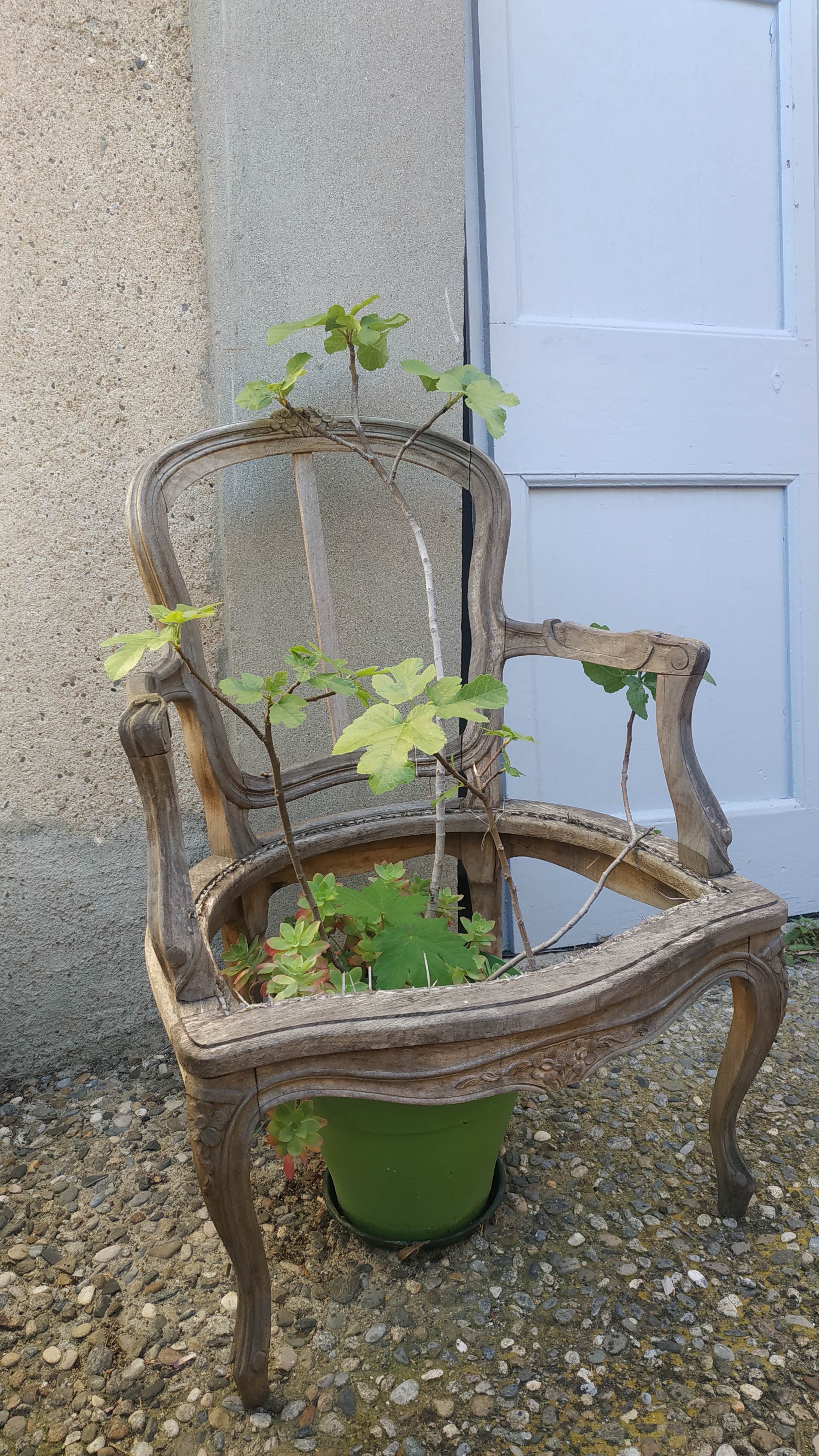 Photo n° 5 de l'avis de Frédérique.a fait le 02/04/2024 à 14:57