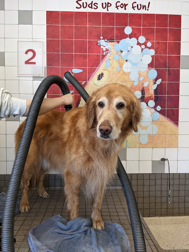 Pet Supply Store «Pet Food Express», reviews and photos, 5148 Stevens Creek Blvd, San Jose, CA 95129, USA