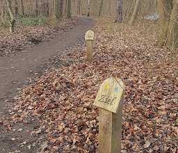 Laufstrecke - Start / Ziel photo