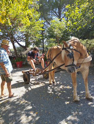 Domaine Régazel à Douzens