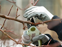 Backwood's Lawn and Landscaping, LLC - Photo 5 - Car repair in , Springfield