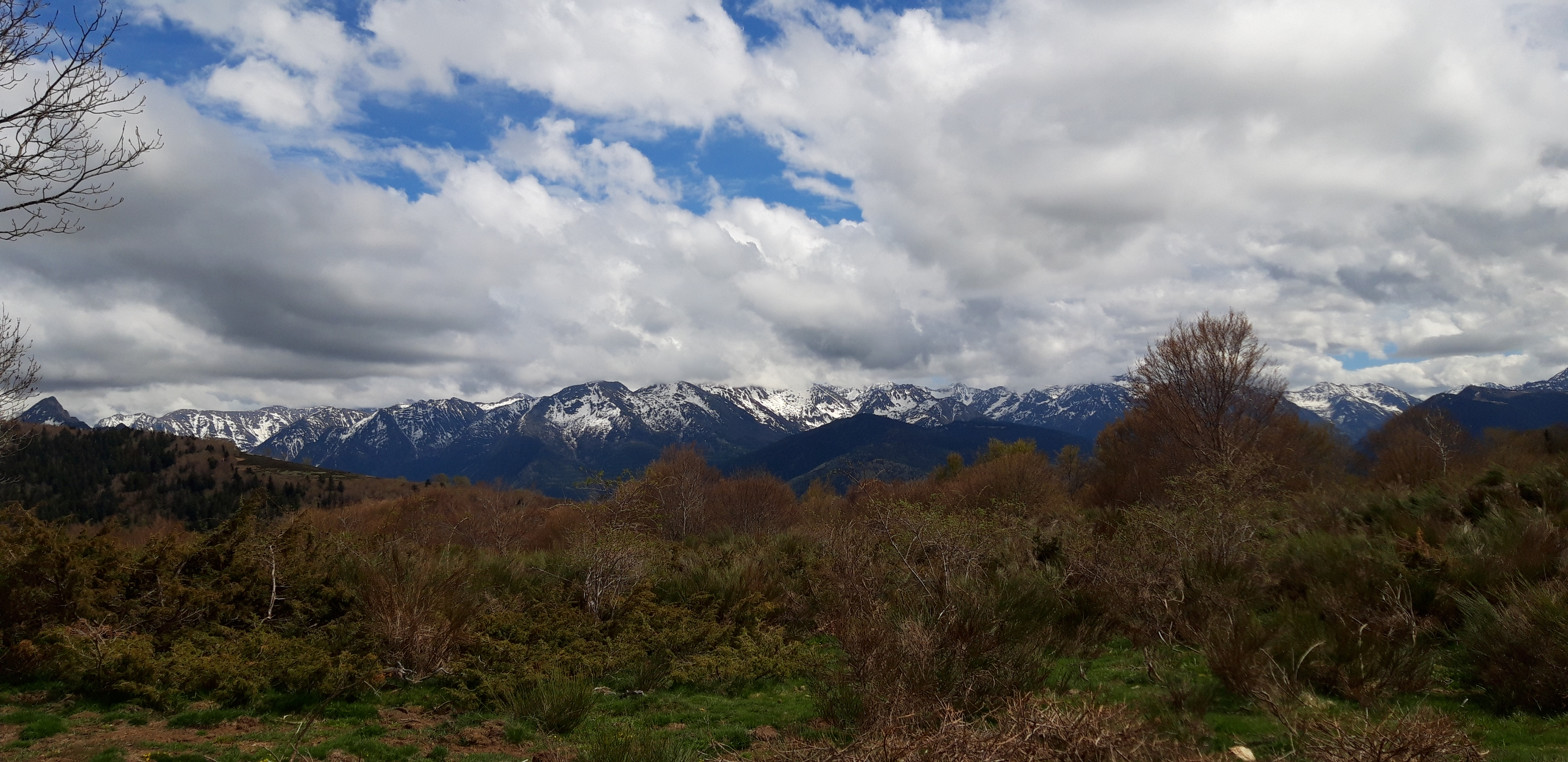 Photo n° 4 de l'avis de Ghyslain.a fait le 19/05/2019 à 15:24
