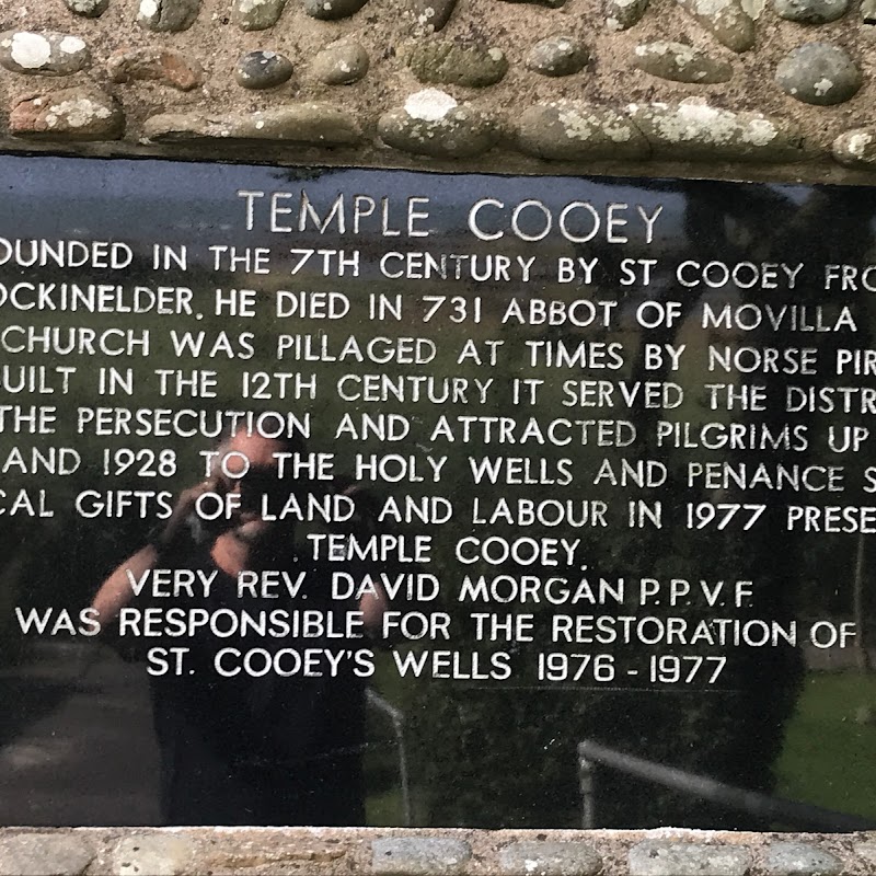 St. Cooey's Well