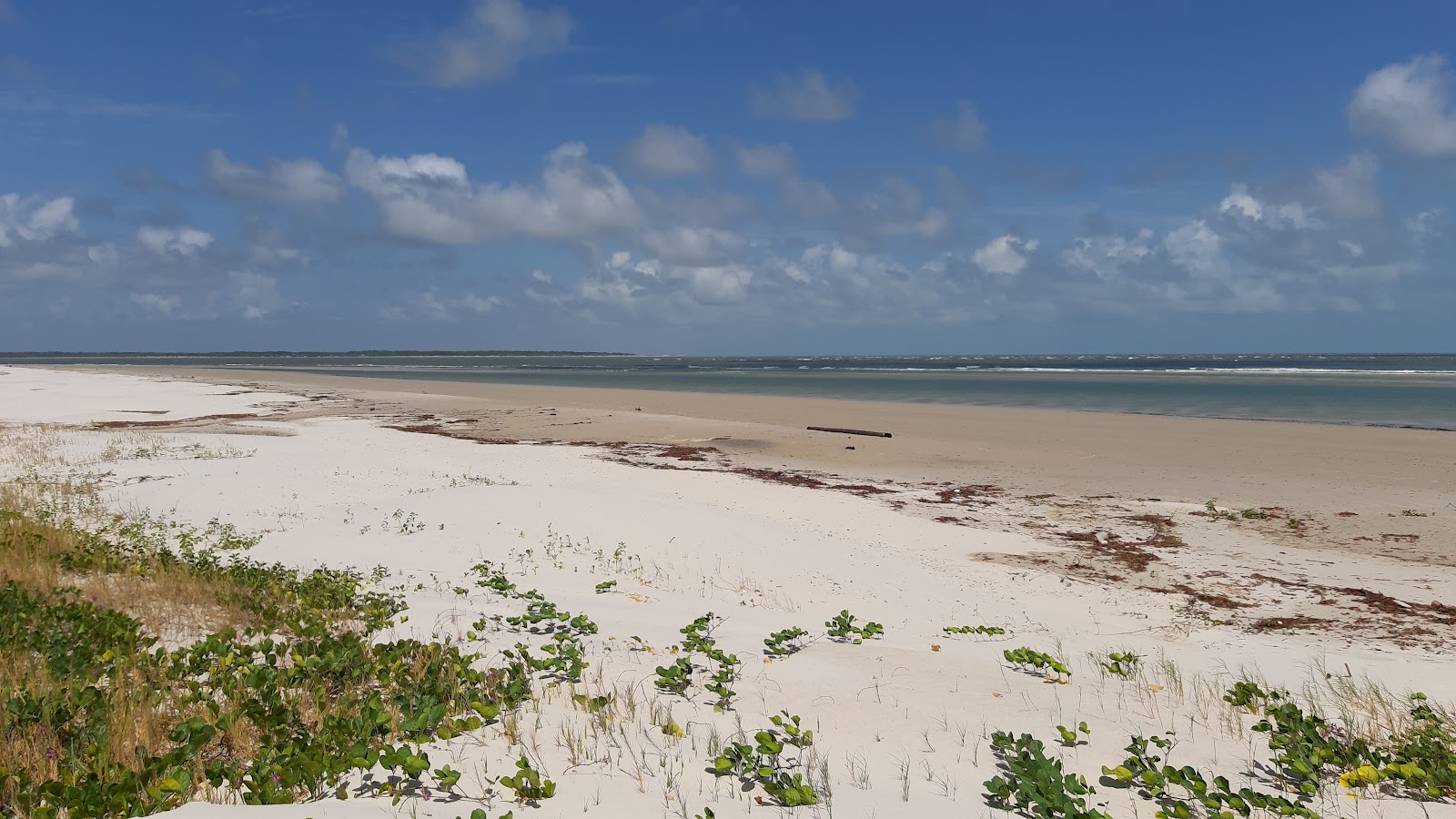 Photo de Praia do Espadarte avec un niveau de propreté de très propre