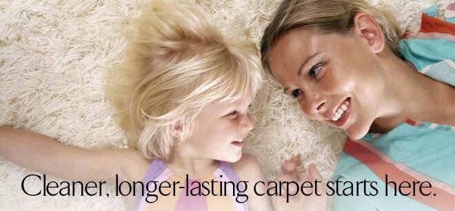 Florence Carpet Cleaning
