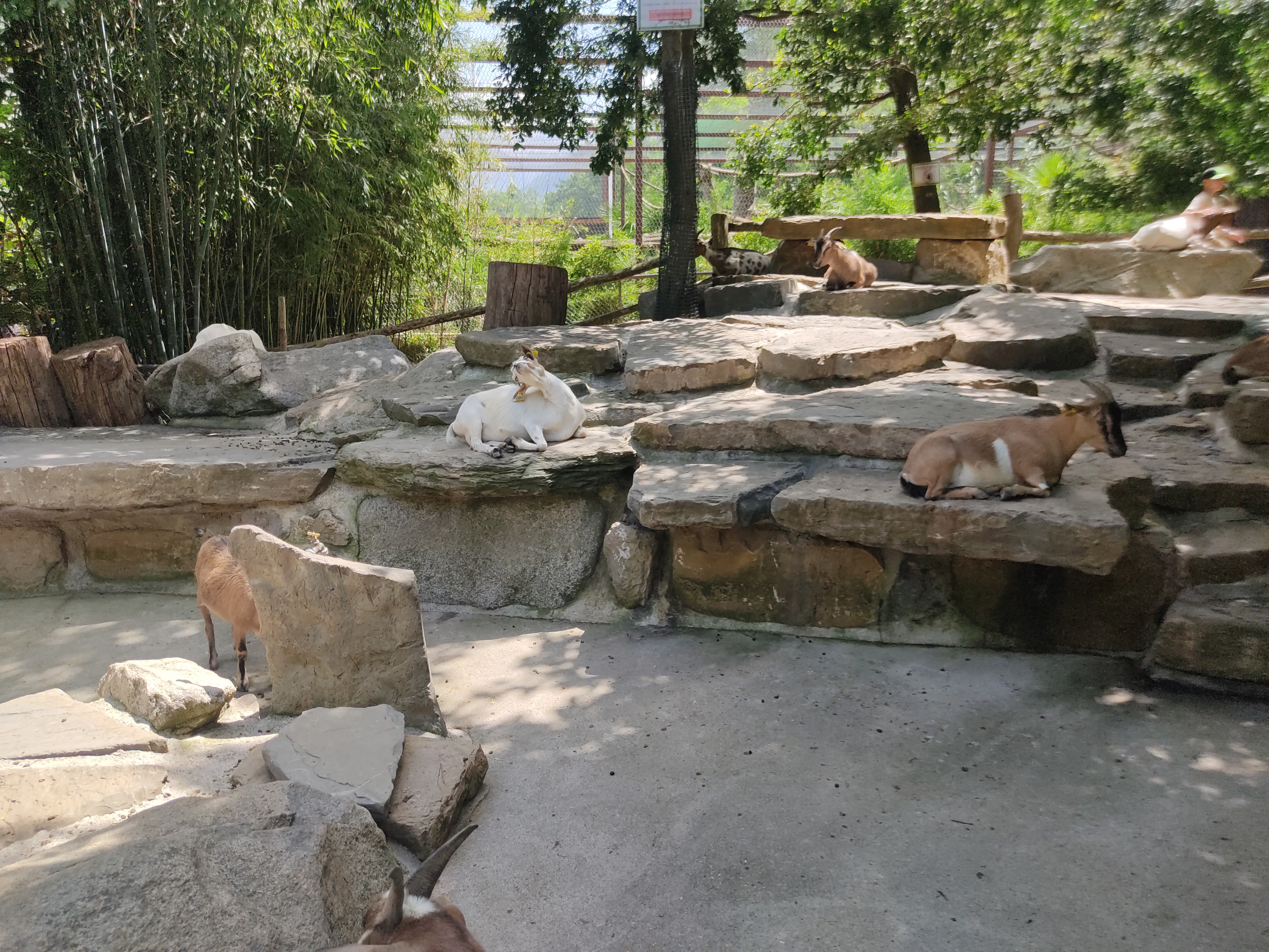 Photo n° 11 de l'avis de David.i fait le 18/11/2019 à 20:29