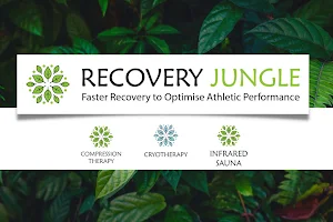 Recovery Jungle image