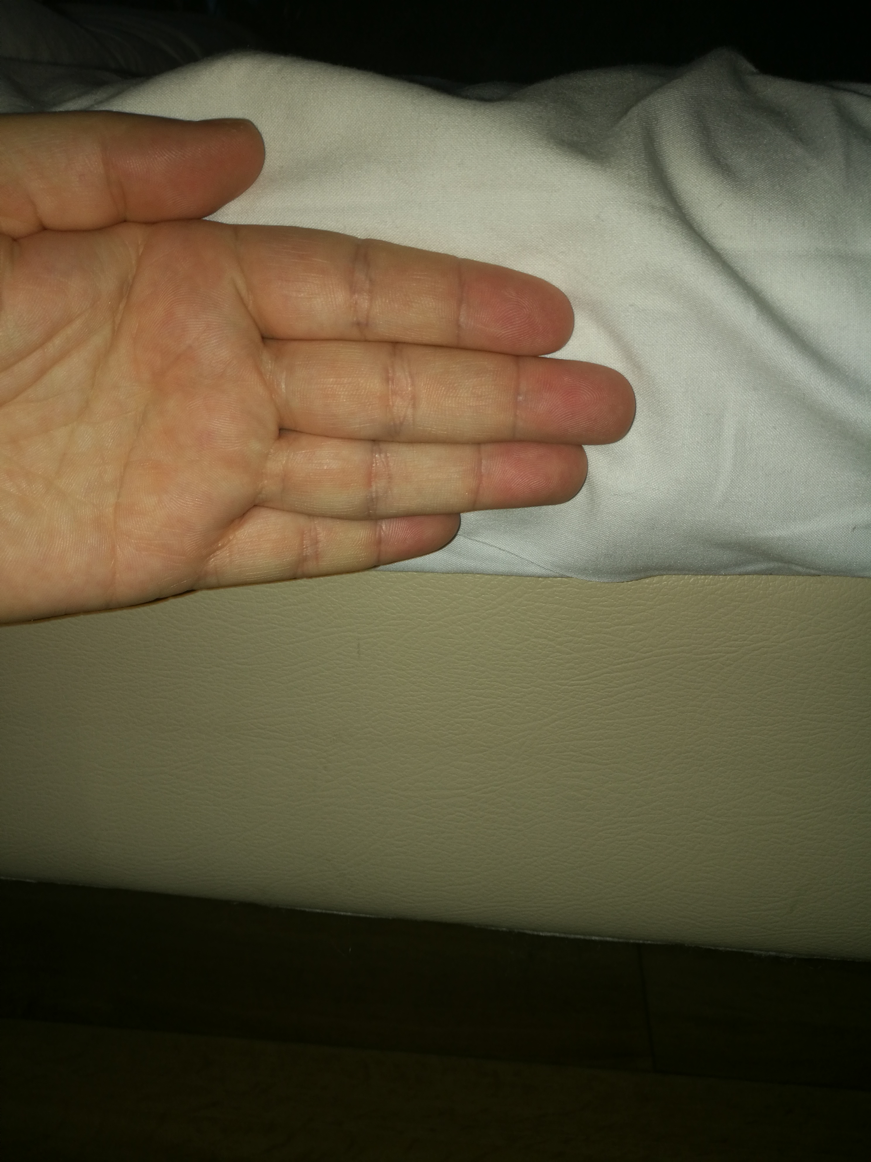 Photo n° 2 de l'avis de Ray.e fait le 02/01/2018 à 20:31