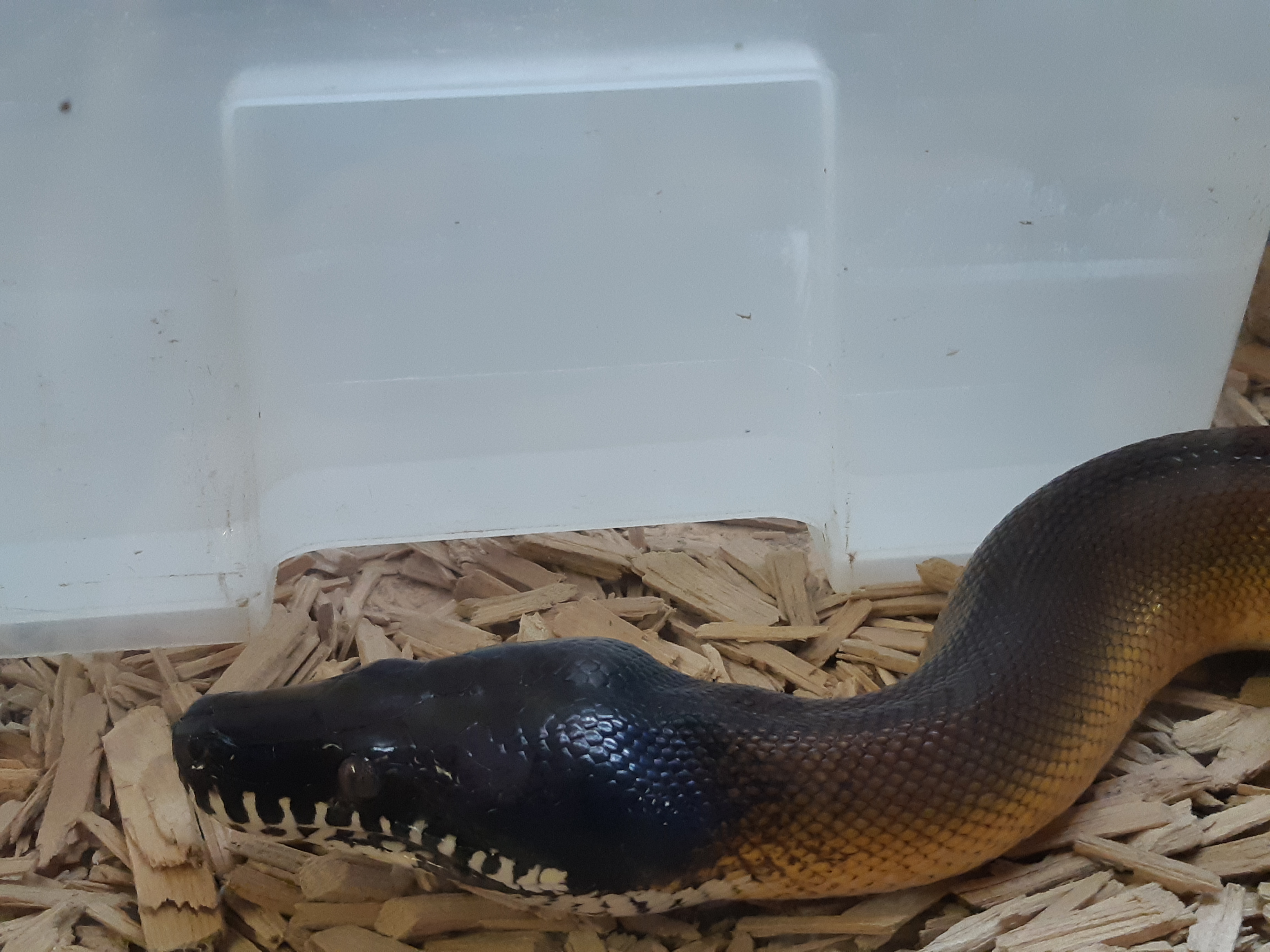 Photo n° 3 de l'avis de Stephanie.t fait le 30/08/2020 à 15:16