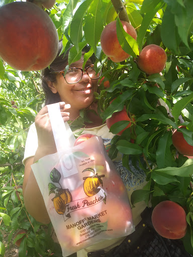 Farm «Manoff Market Gardens», reviews and photos, 3157 Comfort Rd, Solebury, PA 18963, USA