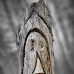 Photo n°2 de l'avis de Jens.i fait le 13/05/2023 à 09:13 sur le  Hanskühnenburg à Bad Grund