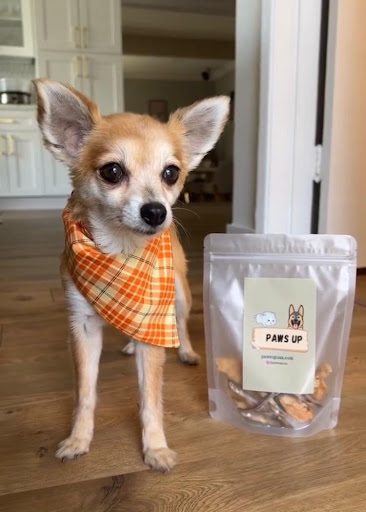 Paws Up USA